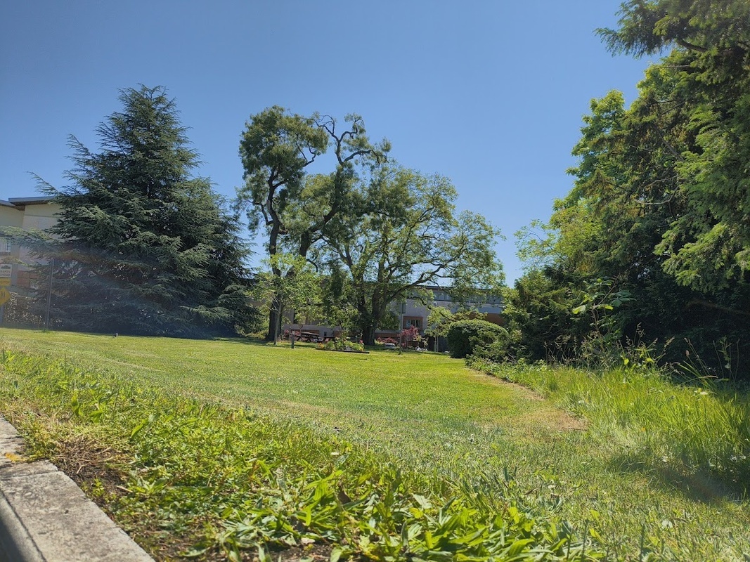 Alzheimer's Care Centre photo 3