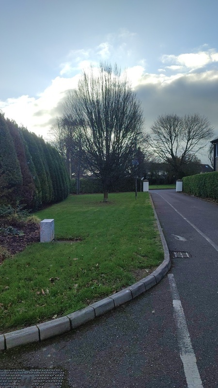 Beaumont Residential Care photo 2