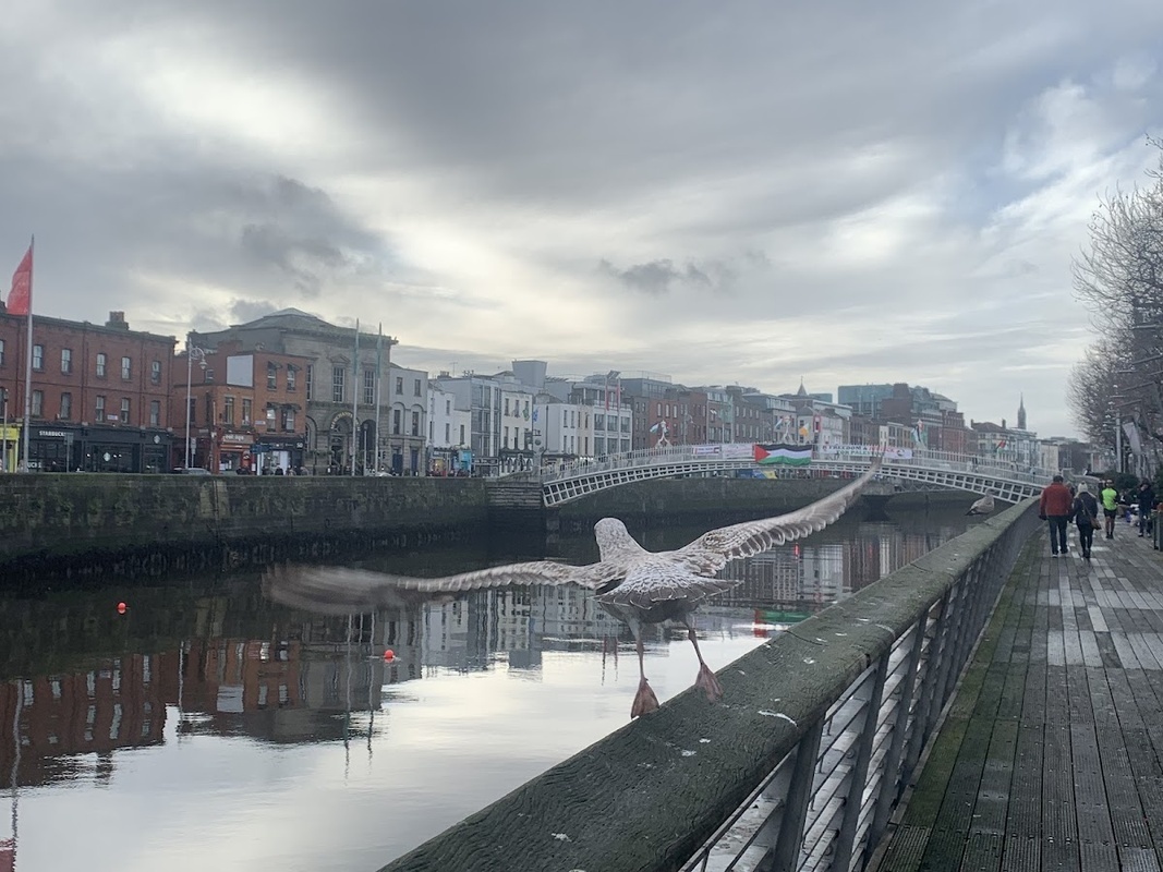 Beechfield Manor Nursing Home photo 3