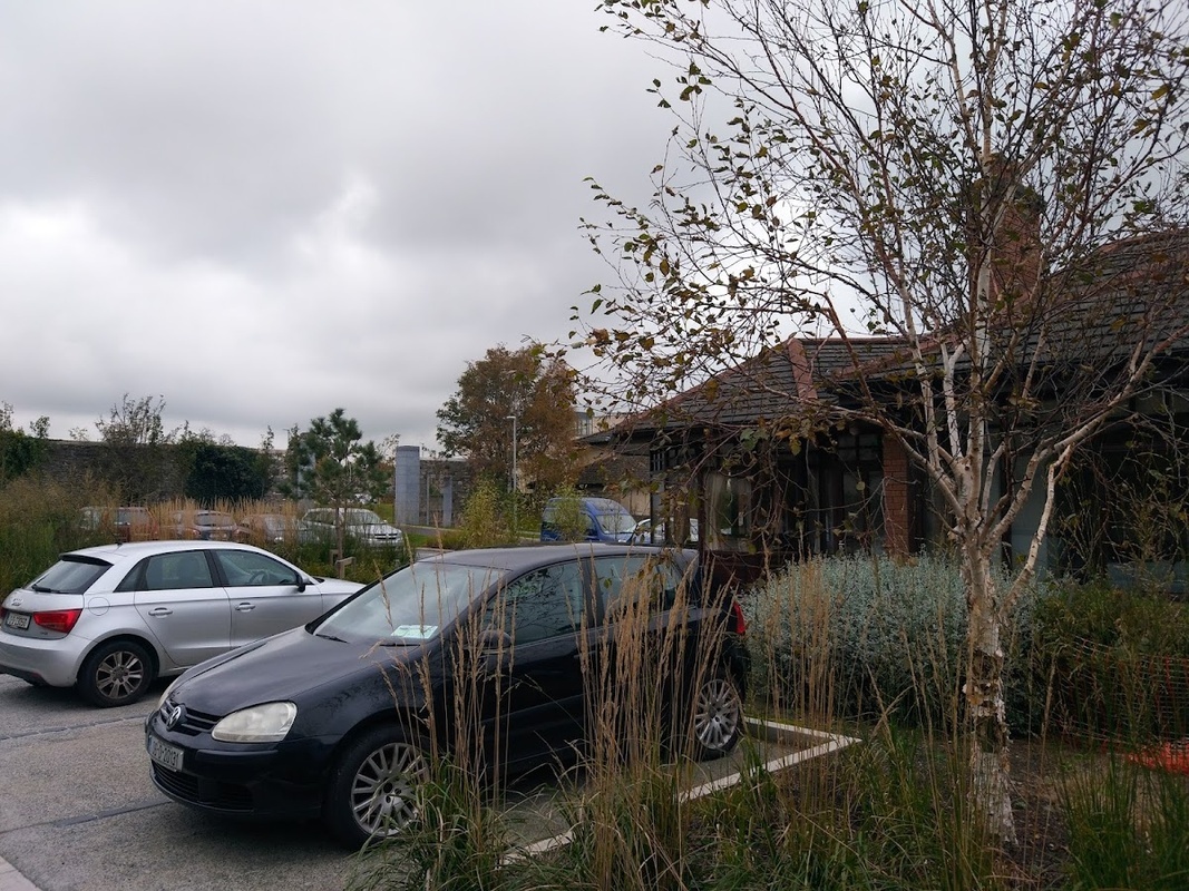 Beechlawn House Nursing Home photo 2