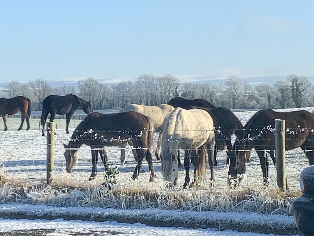 Birr Community Nursing Unit photo 2