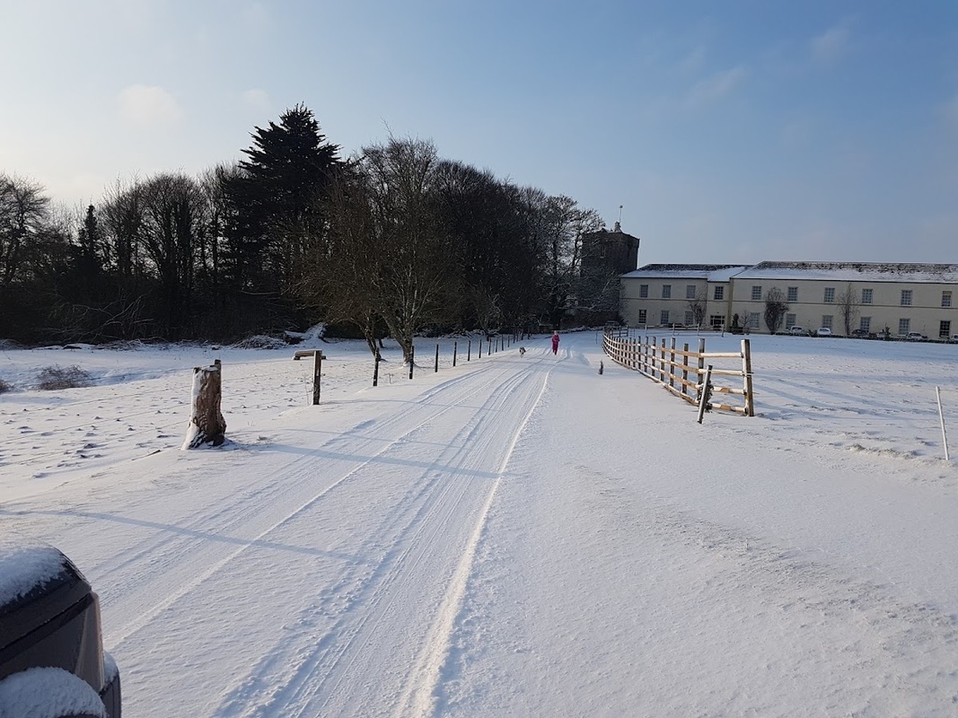 Blake Manor Nursing Home photo 3