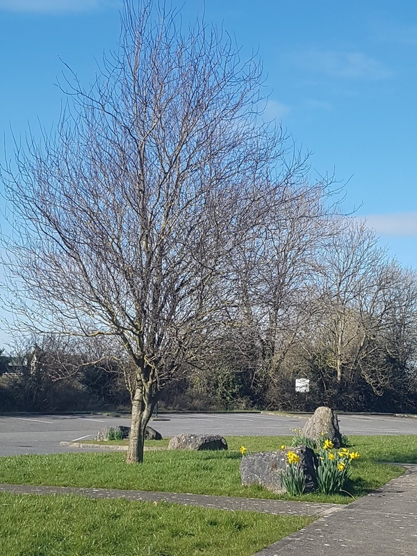 Caherass Nursing Home