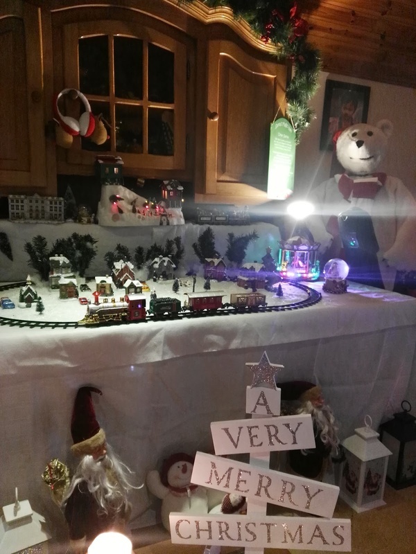 Curragh Lawn Nursing Home photo 2