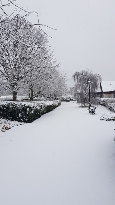 Elmhurst Nursing Home