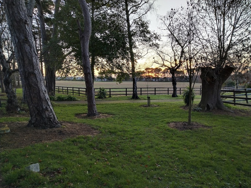 Elmhurst Nursing Home photo 3