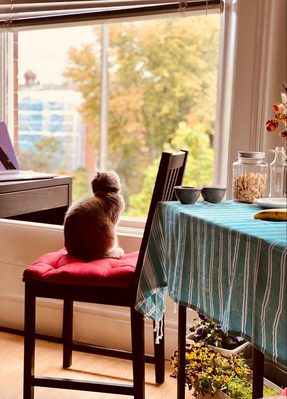 Gascoigne House Nursing Home