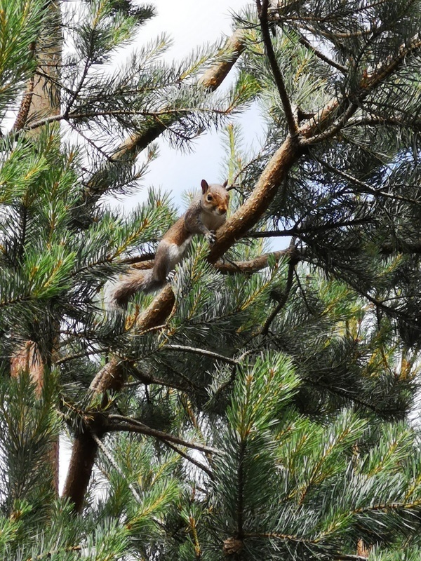 Kiltipper Woods Care Centre