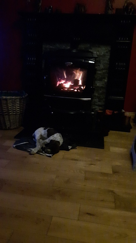 Laurel Lodge Nursing Home photo 3