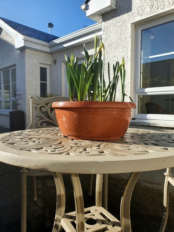 Lough Erril Private Nursing Home photo 3