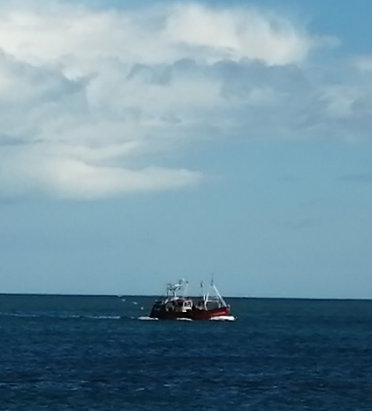 Loughshinny Residential Home photo 3