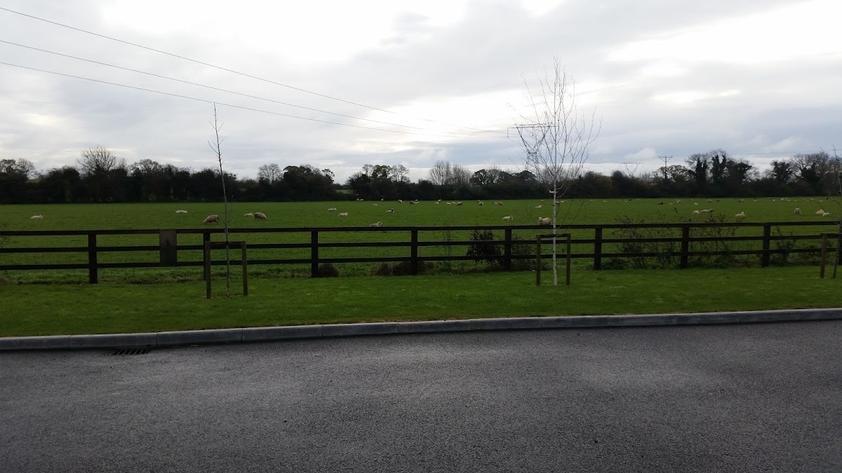 Maynooth Lodge Nursing Home photo 3