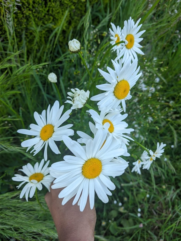 Mooncoin Residential Care Centre photo 2