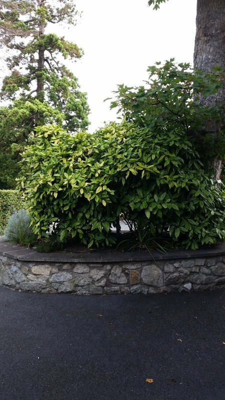 Newtownpark House photo 3