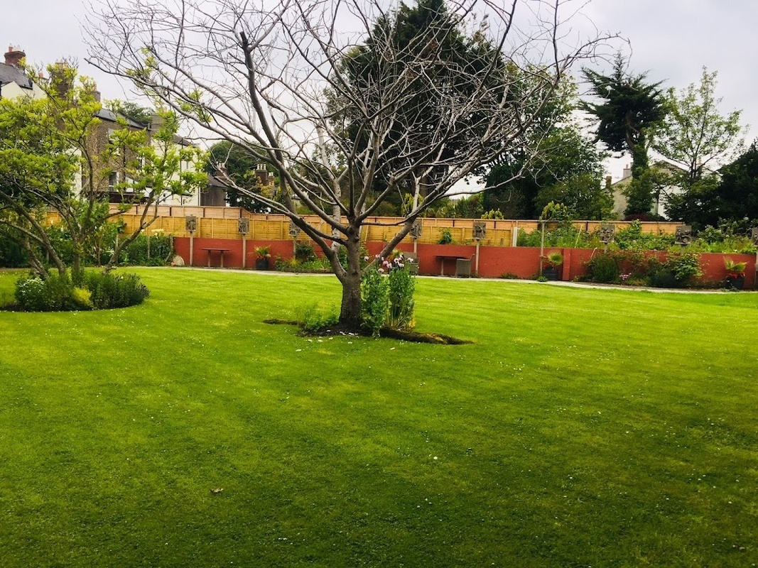 Orwell Queen of Peace photo 3