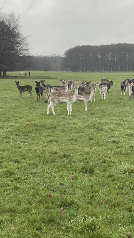 Phoenix Park Community Nursing Units photo 2