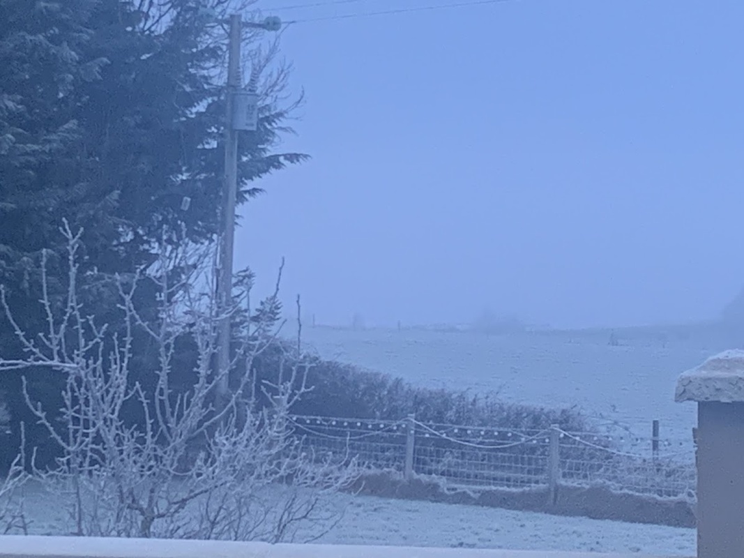 Riada House Community Nursing Unit photo 3