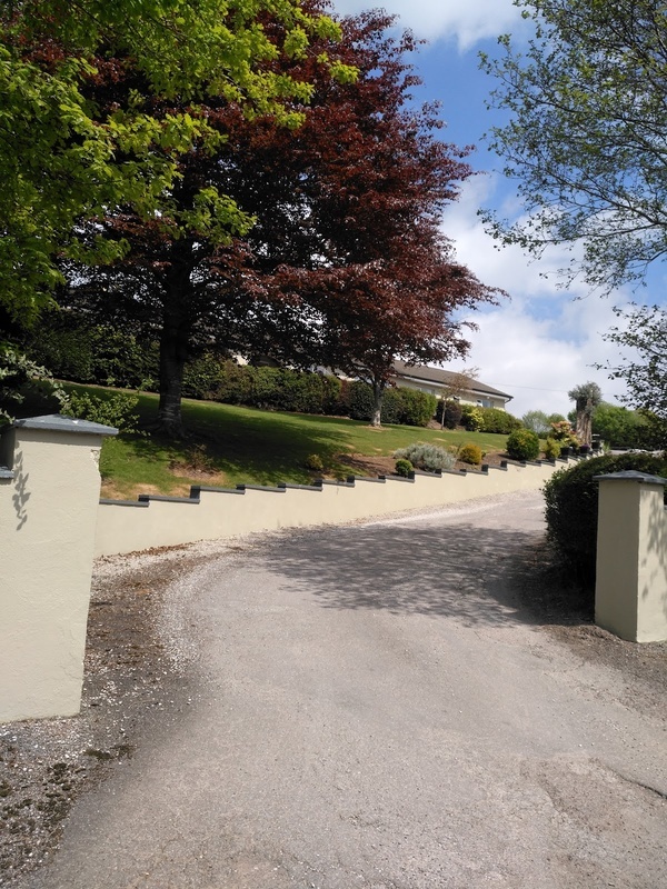 Rochestown Nursing Home photo 3