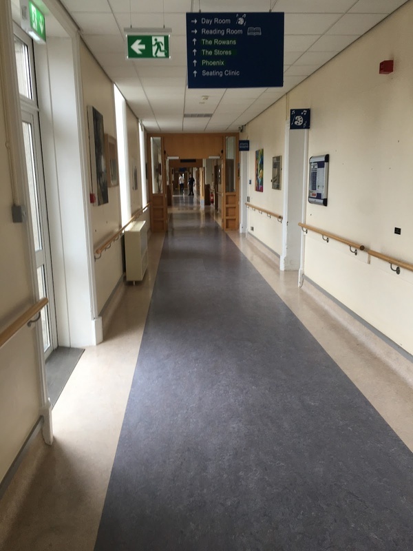 The Royal Hospital Donnybrook photo 2