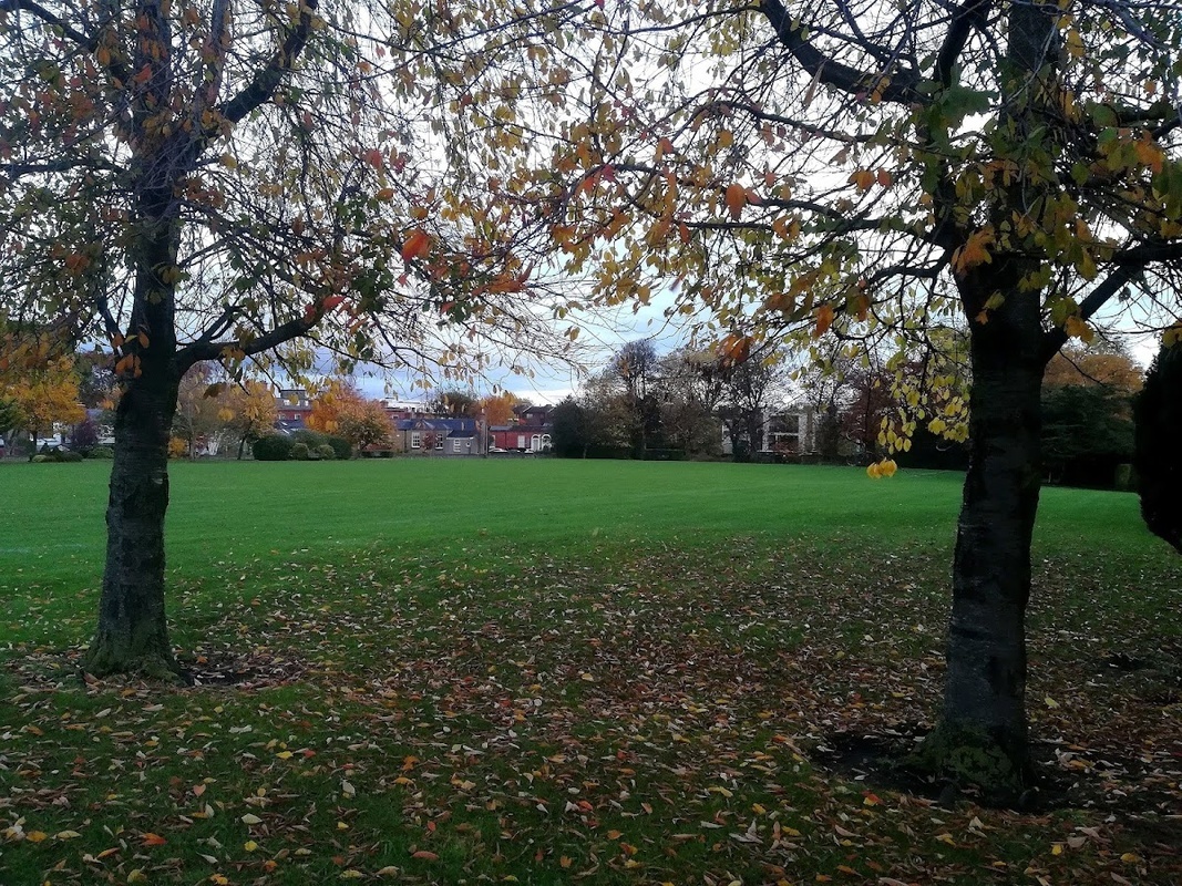 The Royal Hospital Donnybrook photo 3